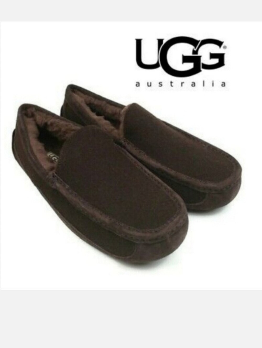 UGG Ascot Wool Lined Moccasin Slippers Brown